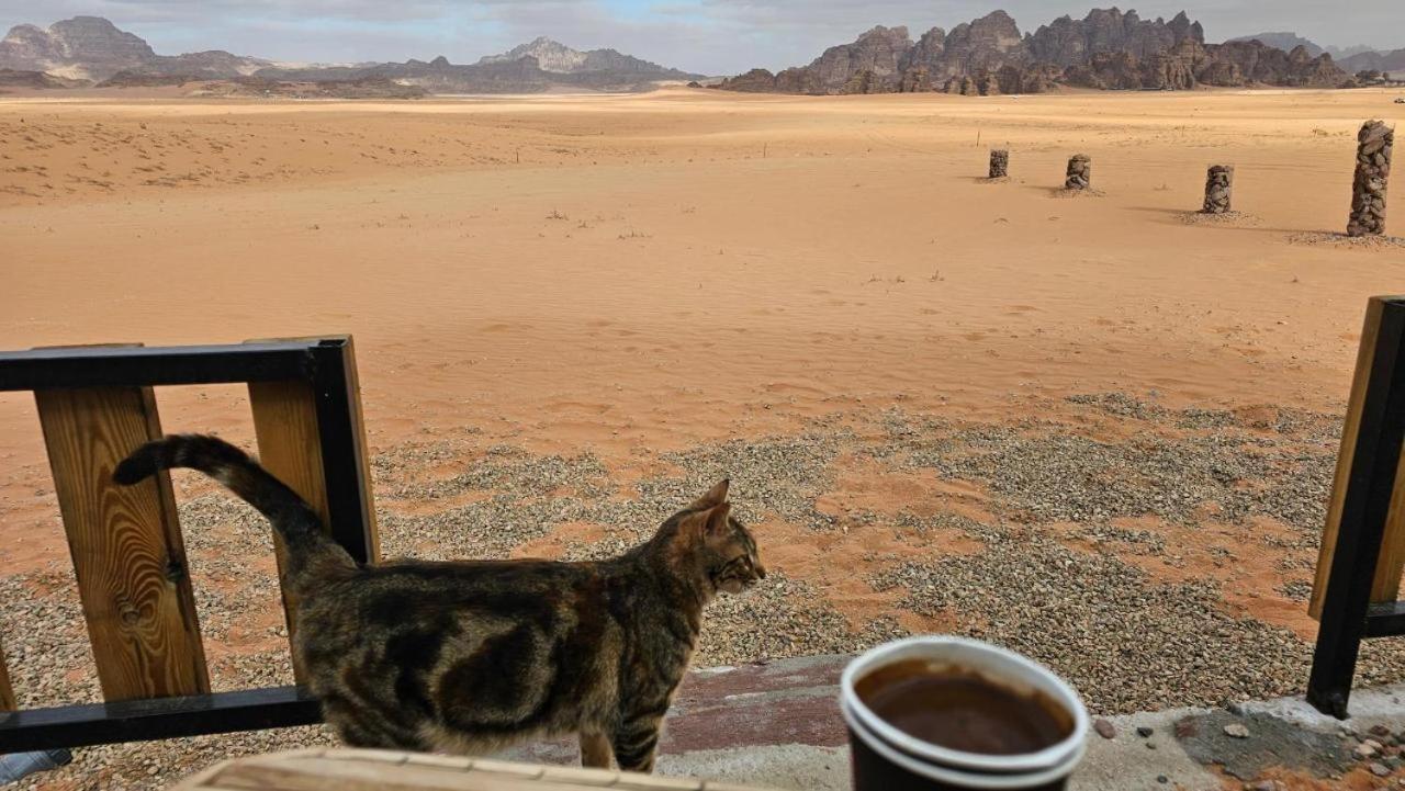 Bedouin Life Camp 호텔 와디럼 외부 사진